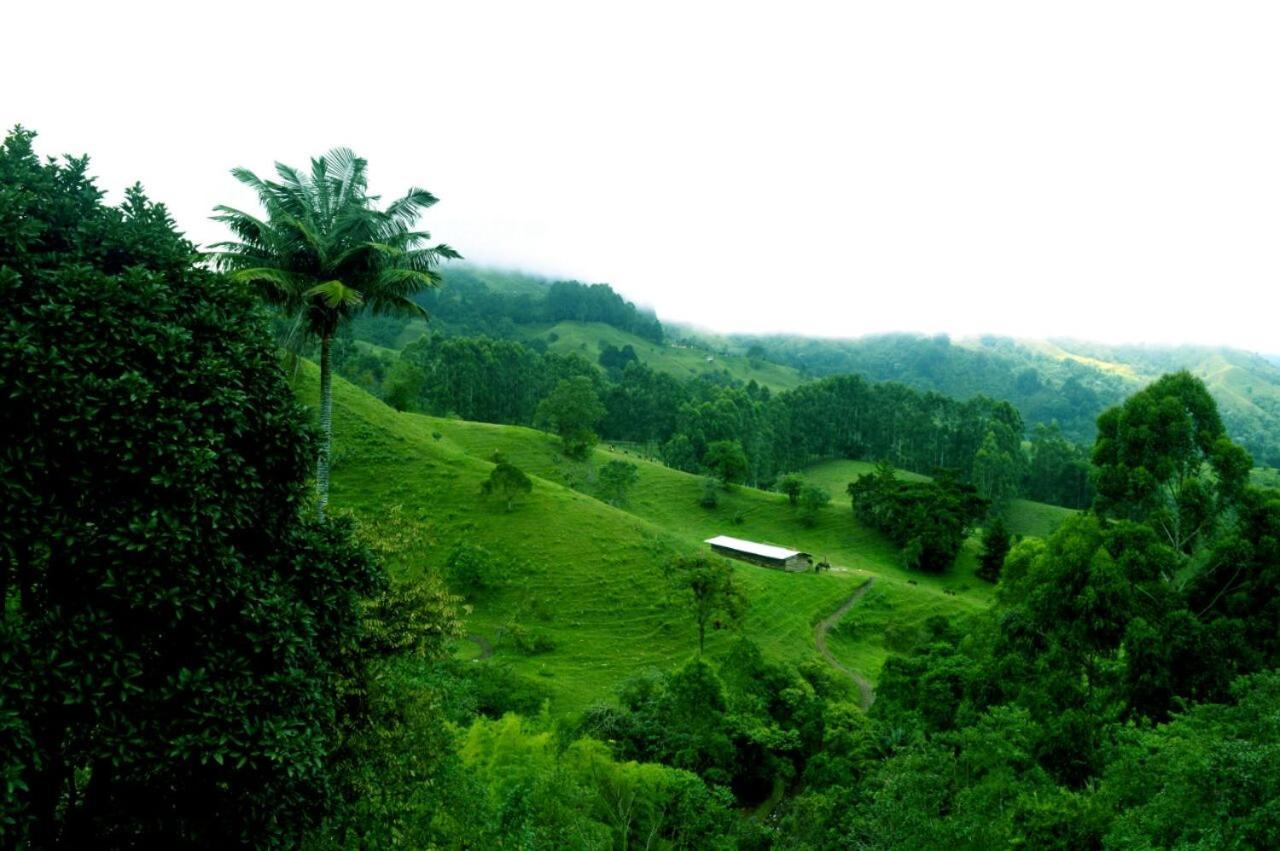 Mirador De Los Cedros Salento Ngoại thất bức ảnh